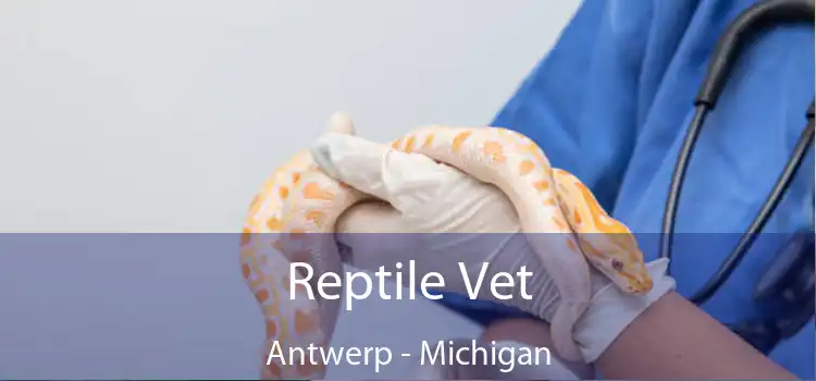 Reptile Vet Antwerp - Michigan