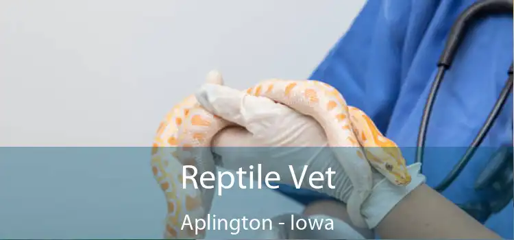 Reptile Vet Aplington - Iowa