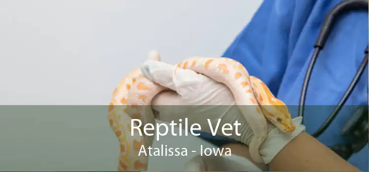 Reptile Vet Atalissa - Iowa
