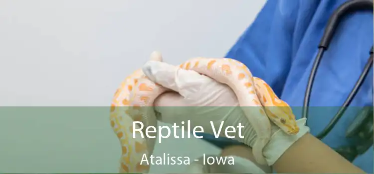 Reptile Vet Atalissa - Iowa