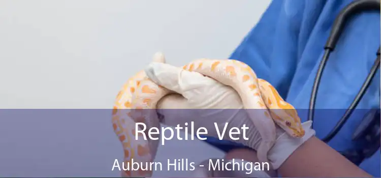 Reptile Vet Auburn Hills - Michigan
