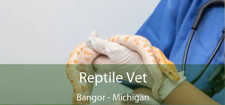 Reptile Vet Bangor - Michigan