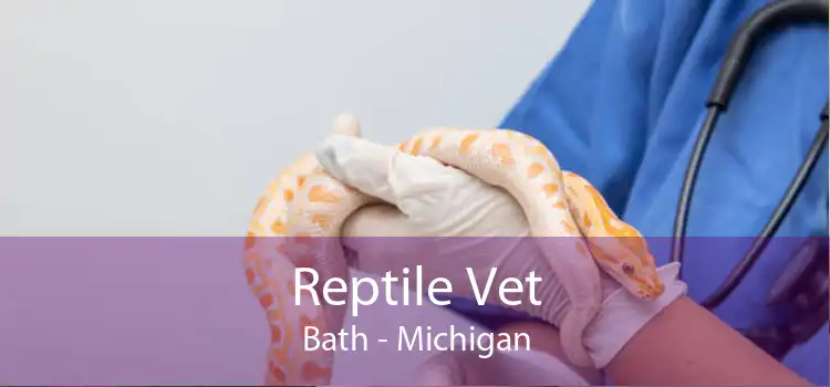 Reptile Vet Bath - Michigan