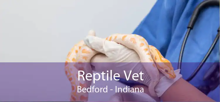 Reptile Vet Bedford - Indiana