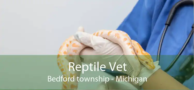 Reptile Vet Bedford township - Michigan