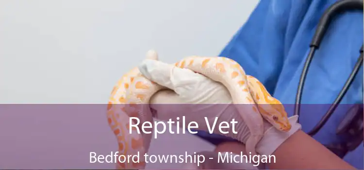 Reptile Vet Bedford township - Michigan