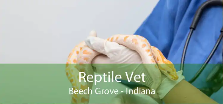 Reptile Vet Beech Grove - Indiana