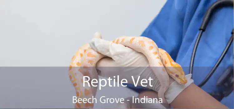 Reptile Vet Beech Grove - Indiana