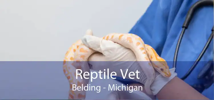 Reptile Vet Belding - Michigan