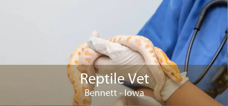 Reptile Vet Bennett - Iowa