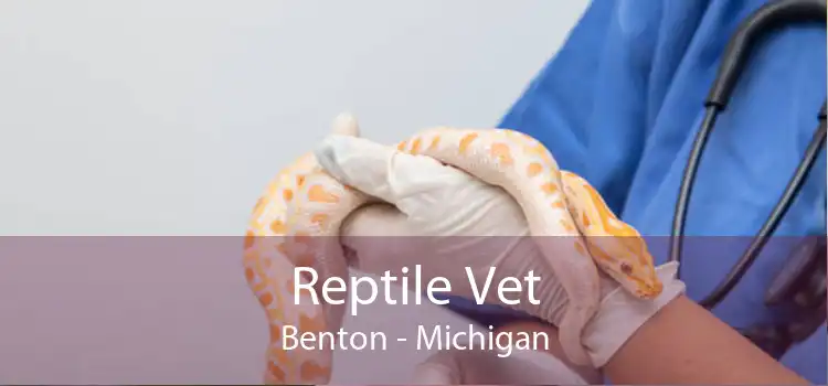Reptile Vet Benton - Michigan