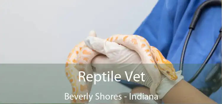 Reptile Vet Beverly Shores - Indiana