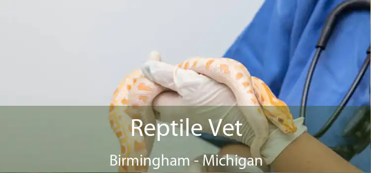 Reptile Vet Birmingham - Michigan