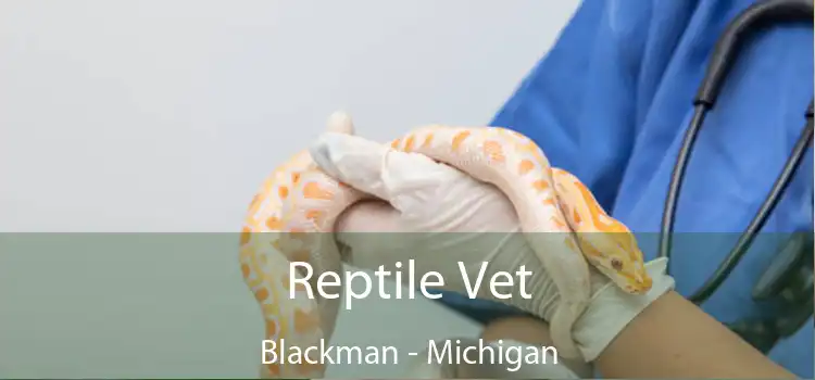 Reptile Vet Blackman - Michigan