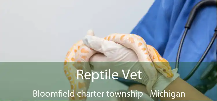 Reptile Vet Bloomfield charter township - Michigan