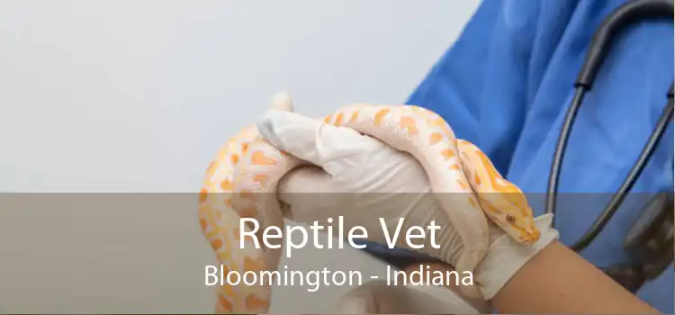 Reptile Vet Bloomington - Indiana