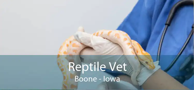 Reptile Vet Boone - Iowa