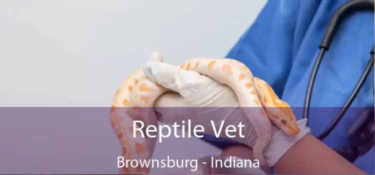 Reptile Vet Brownsburg - Indiana