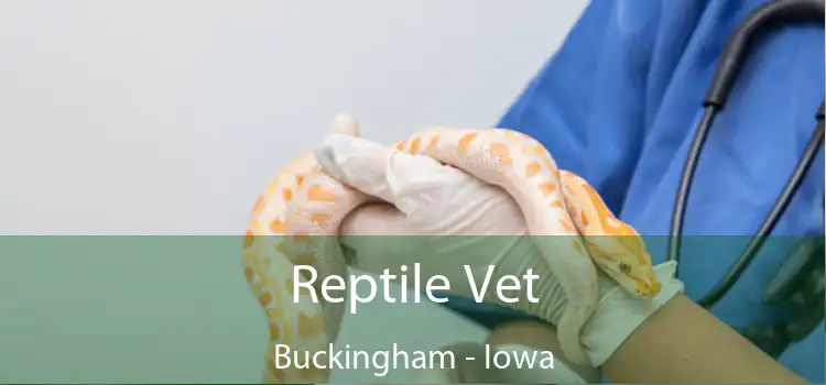 Reptile Vet Buckingham - Iowa