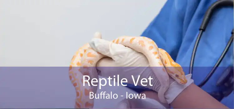 Reptile Vet Buffalo - Iowa