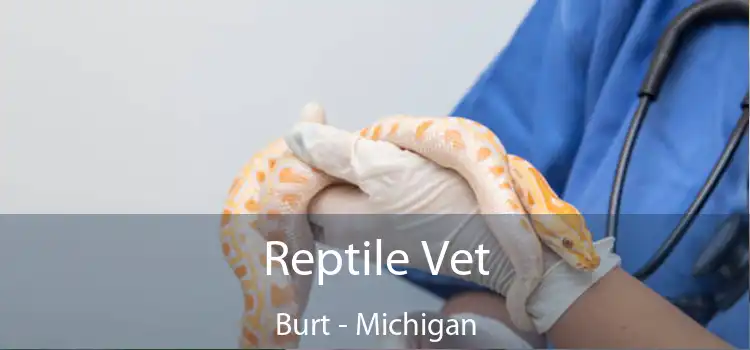 Reptile Vet Burt - Michigan