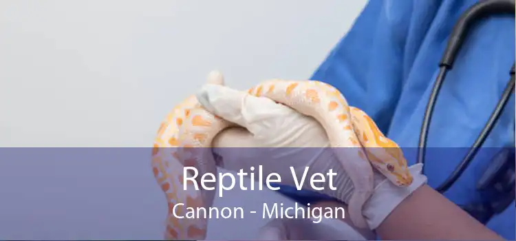 Reptile Vet Cannon - Michigan