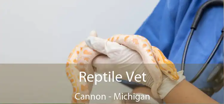 Reptile Vet Cannon - Michigan