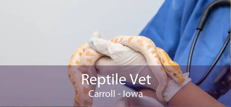 Reptile Vet Carroll - Iowa