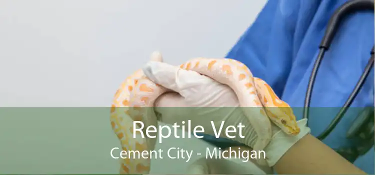Reptile Vet Cement City - Michigan