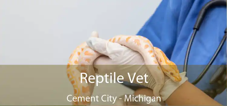 Reptile Vet Cement City - Michigan