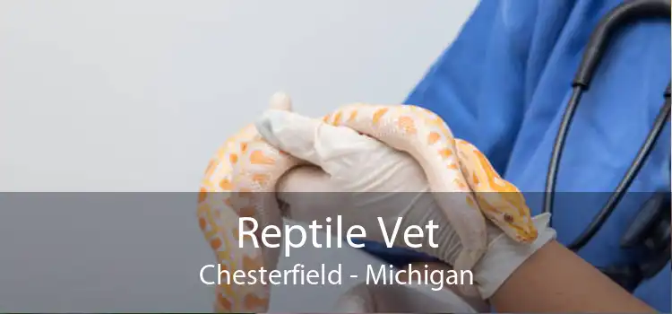 Reptile Vet Chesterfield - Michigan