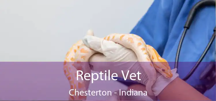 Reptile Vet Chesterton - Indiana