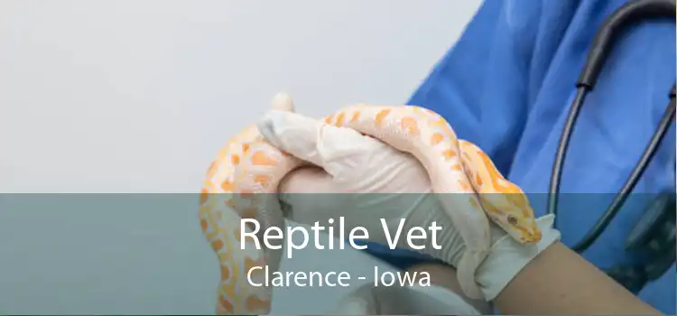 Reptile Vet Clarence - Iowa