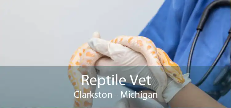 Reptile Vet Clarkston - Michigan