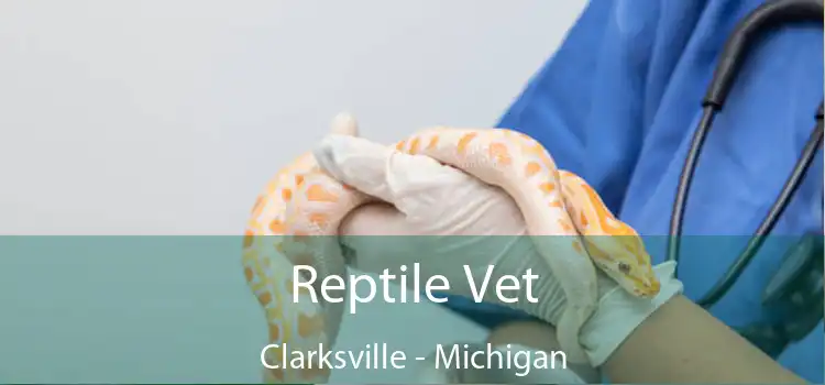 Reptile Vet Clarksville - Michigan