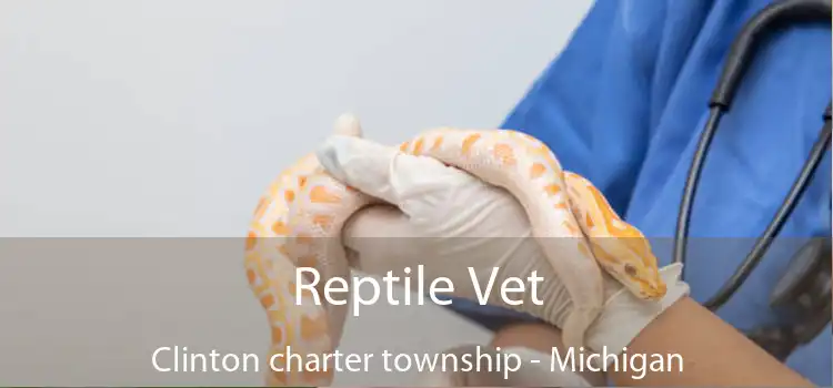 Reptile Vet Clinton charter township - Michigan