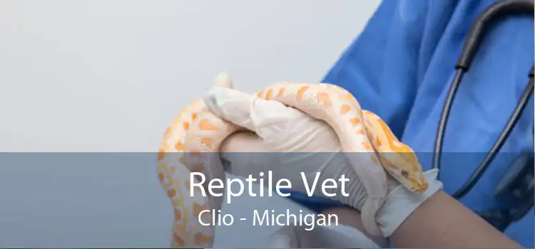 Reptile Vet Clio - Michigan