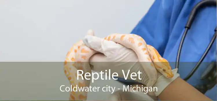 Reptile Vet Coldwater city - Michigan