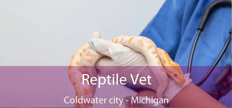 Reptile Vet Coldwater city - Michigan