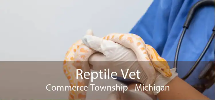 Reptile Vet Commerce Township - Michigan