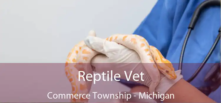 Reptile Vet Commerce Township - Michigan