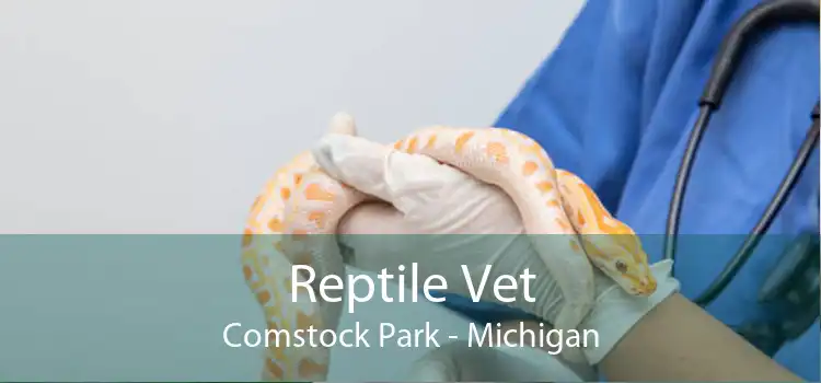Reptile Vet Comstock Park - Michigan