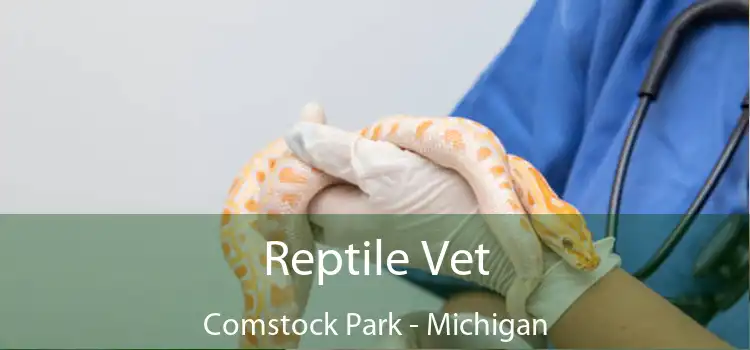 Reptile Vet Comstock Park - Michigan