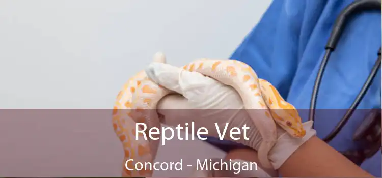 Reptile Vet Concord - Michigan