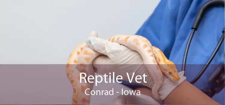 Reptile Vet Conrad - Iowa