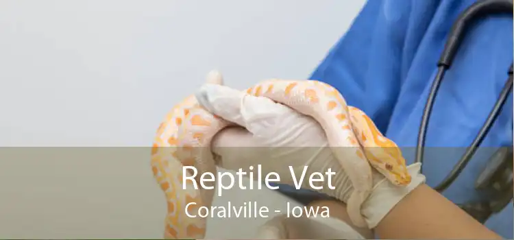 Reptile Vet Coralville - Iowa