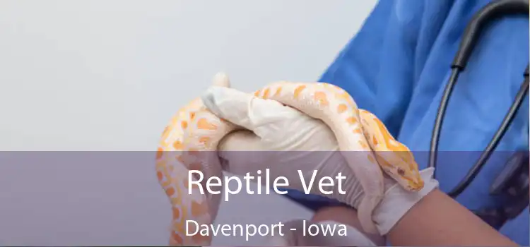 Reptile Vet Davenport - Iowa