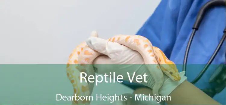 Reptile Vet Dearborn Heights - Michigan