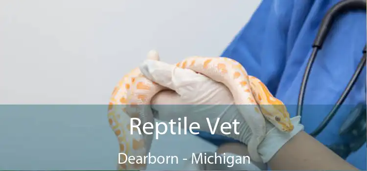 Reptile Vet Dearborn - Michigan