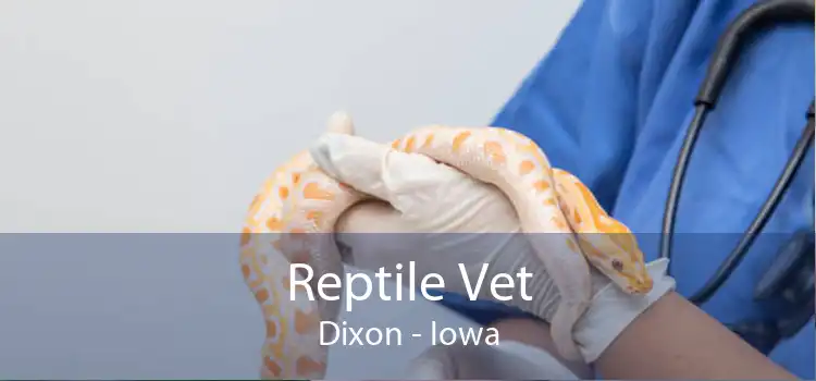 Reptile Vet Dixon - Iowa